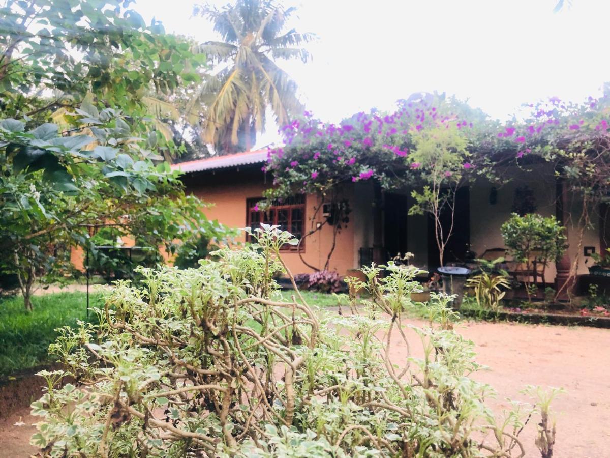 Sigiriya Nature Villa Lodge Екстер'єр фото